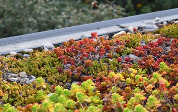the cost of New Polzeath green roof installation