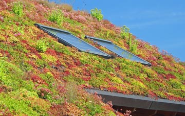 New Polzeath living roof systems